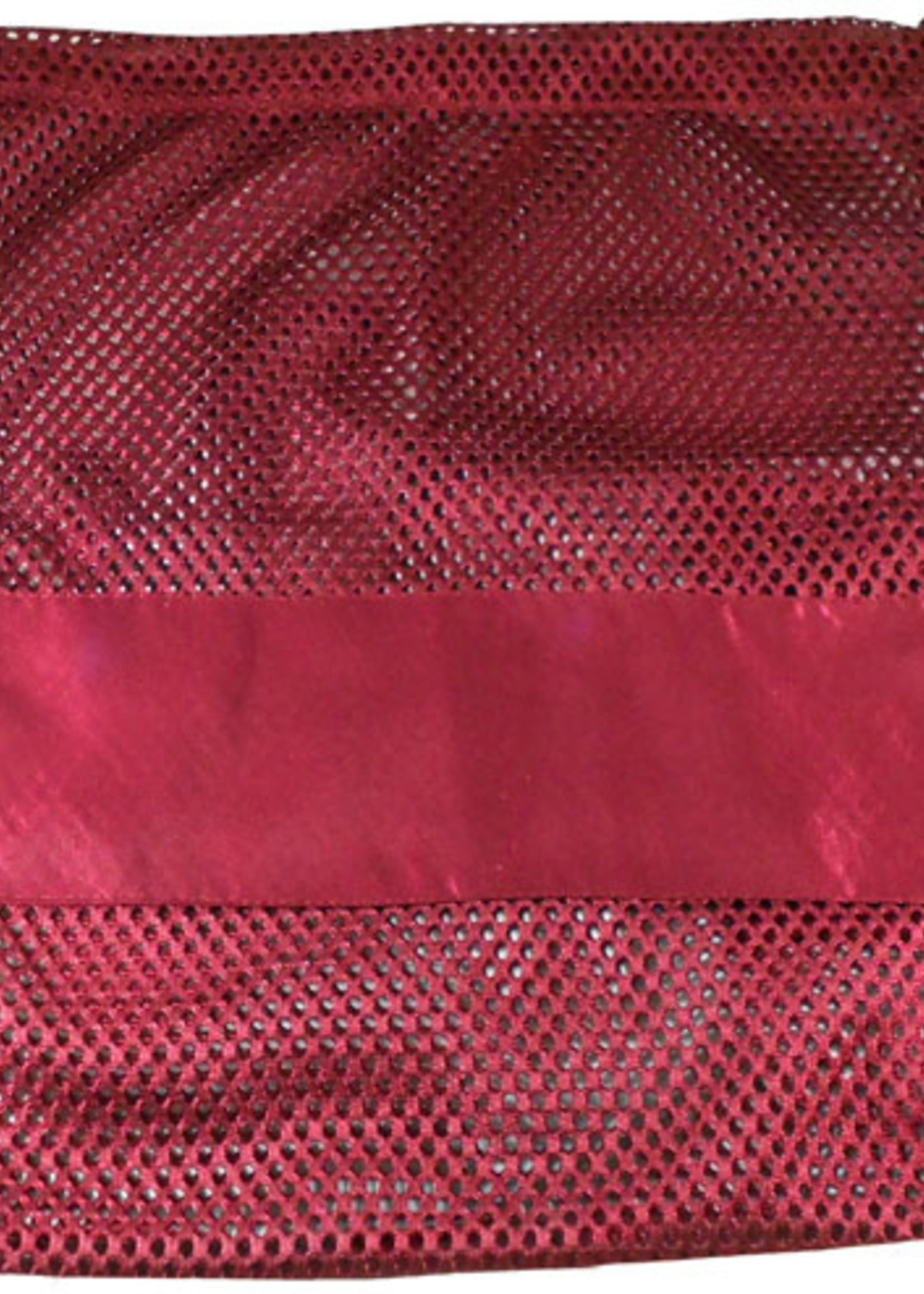 Large Mesh Pointe Shoe Bag